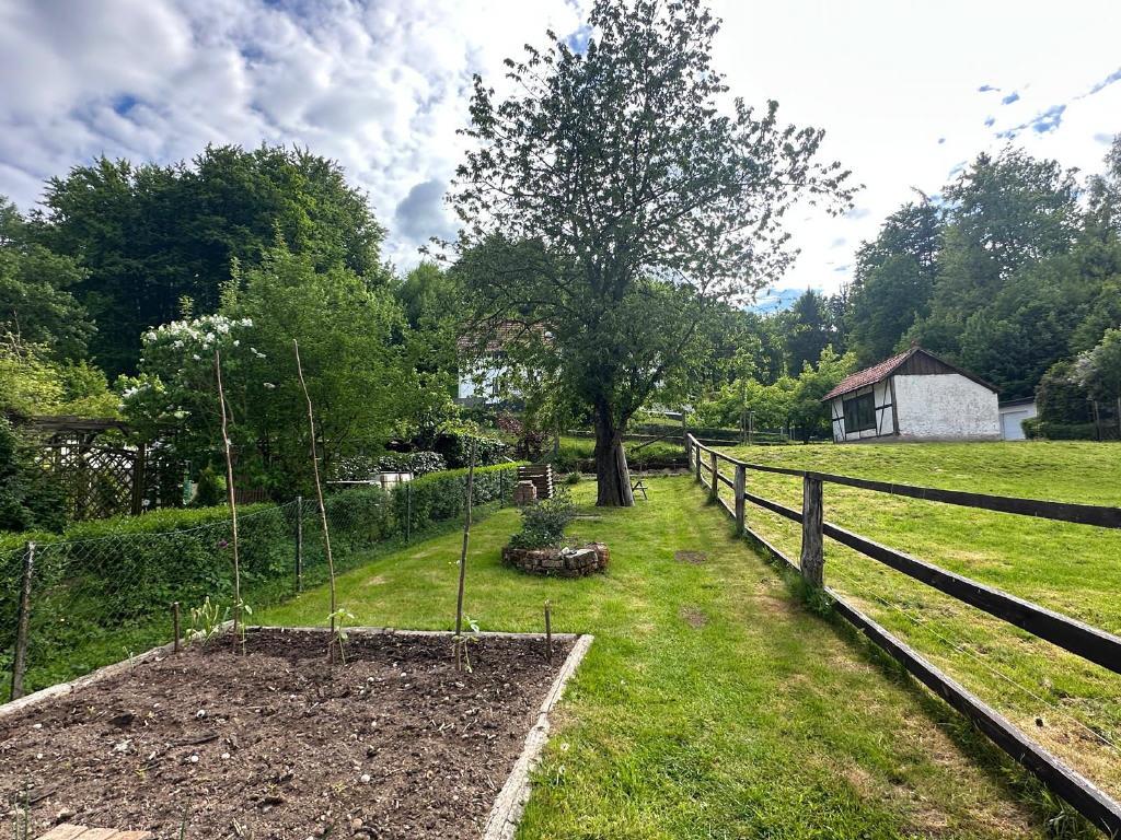 Bild6
