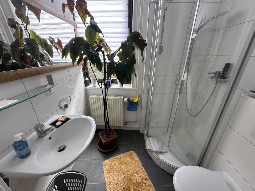 Bild13