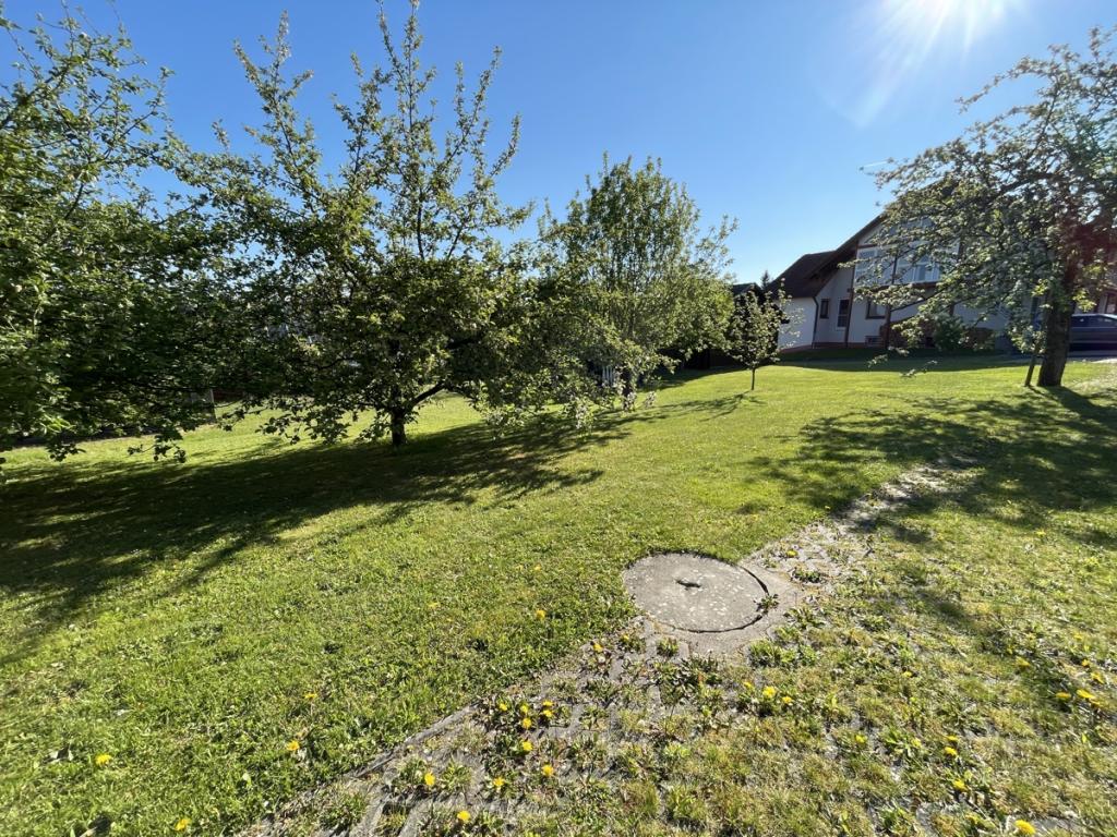 Blick in den Garten
