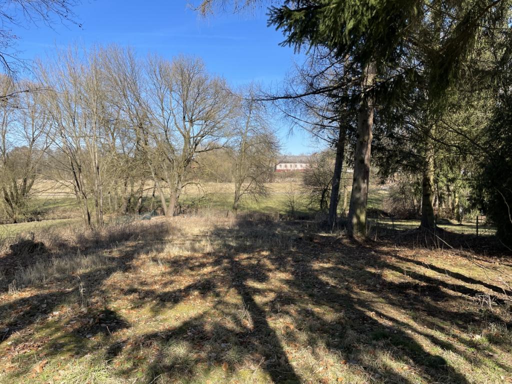 Blick zum Gartenland mit Bachlauf Randlage von Tirschenreuth 