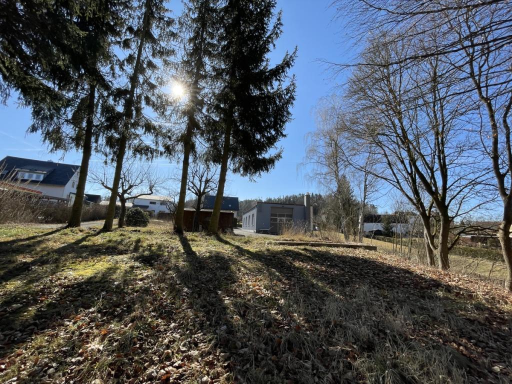 Blick vom Gartenland zum freien Baugrundstück und Halle 