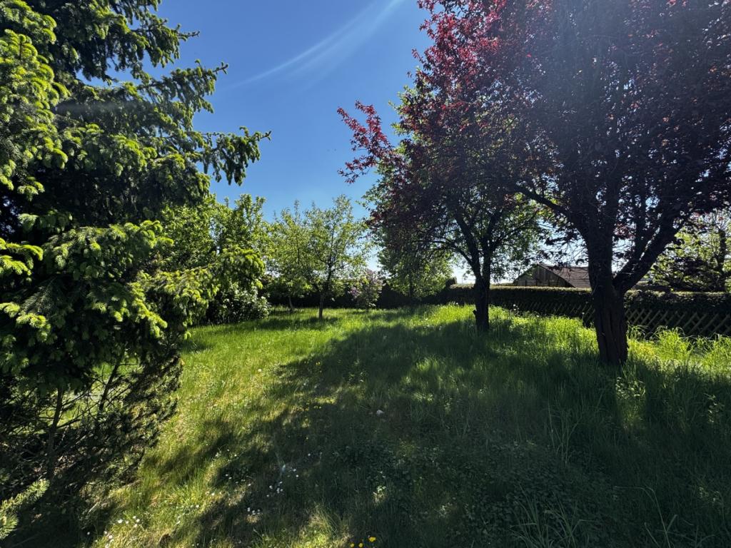 traumhafter Garten
