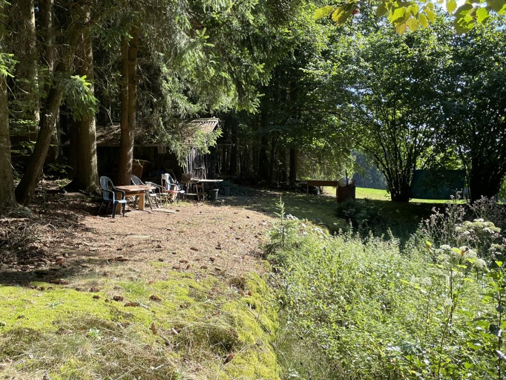  Blick zur Wiese in Richtung Teich