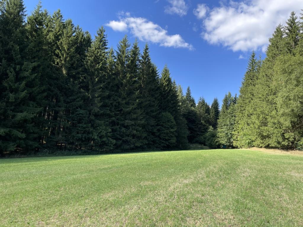  Blick zur Wiese