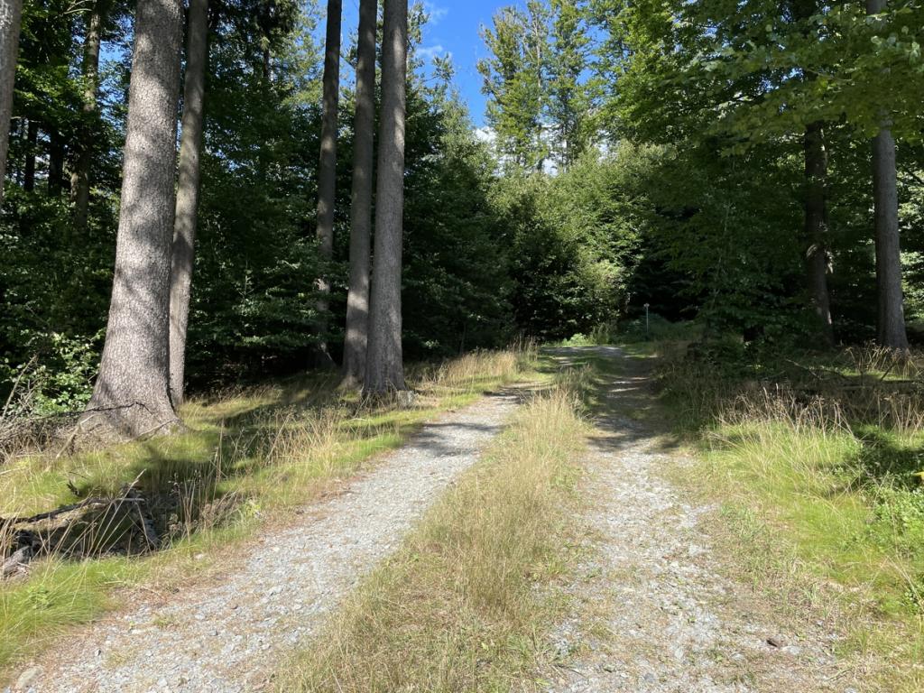  Weg zu Wald und Wiese