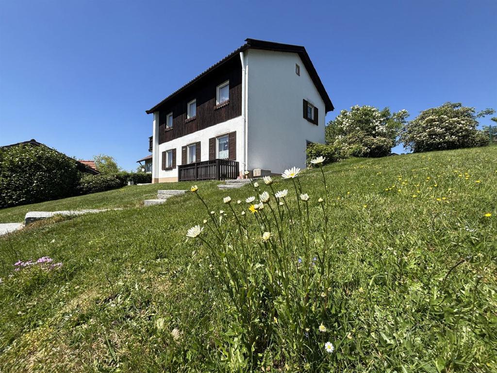 Bild11
