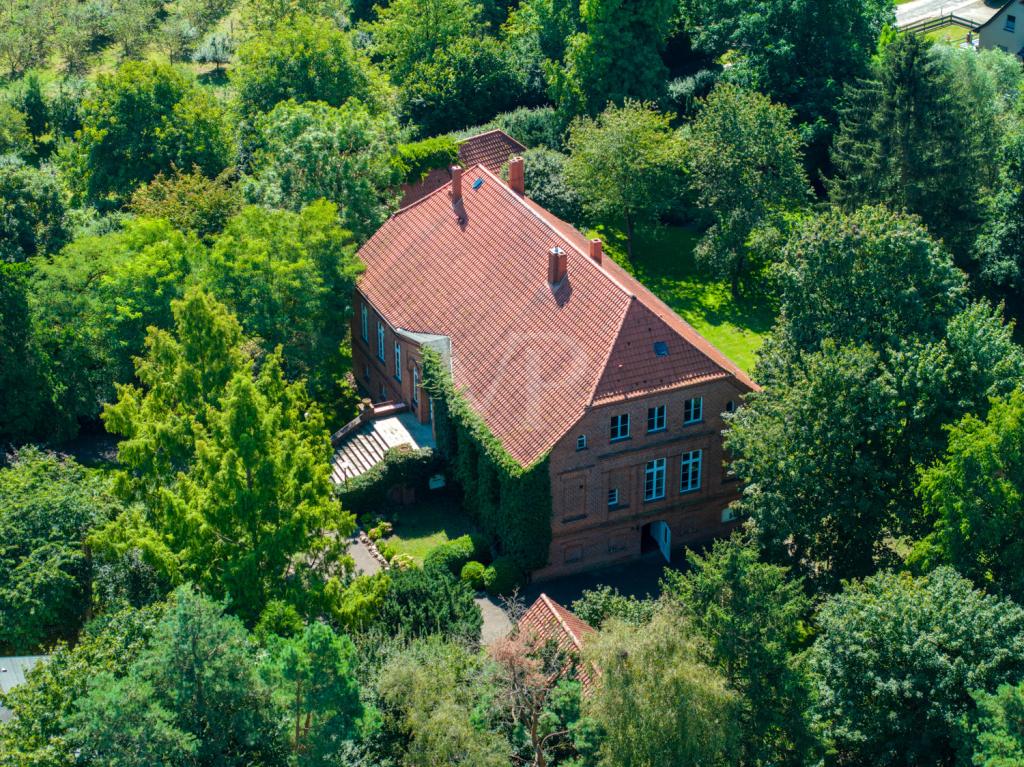 _29100195.jpg