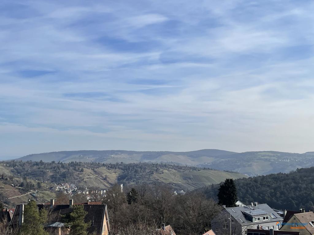 Ausblick