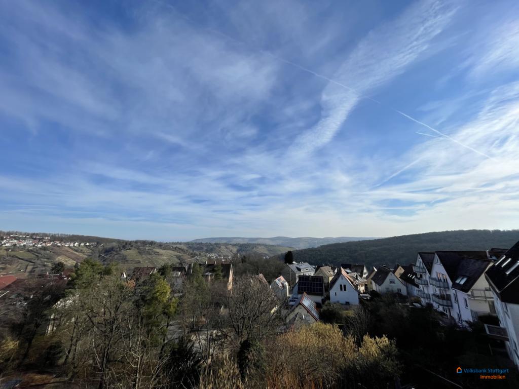 Ausblick