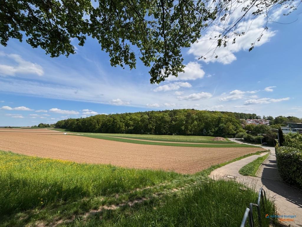 Umgebung