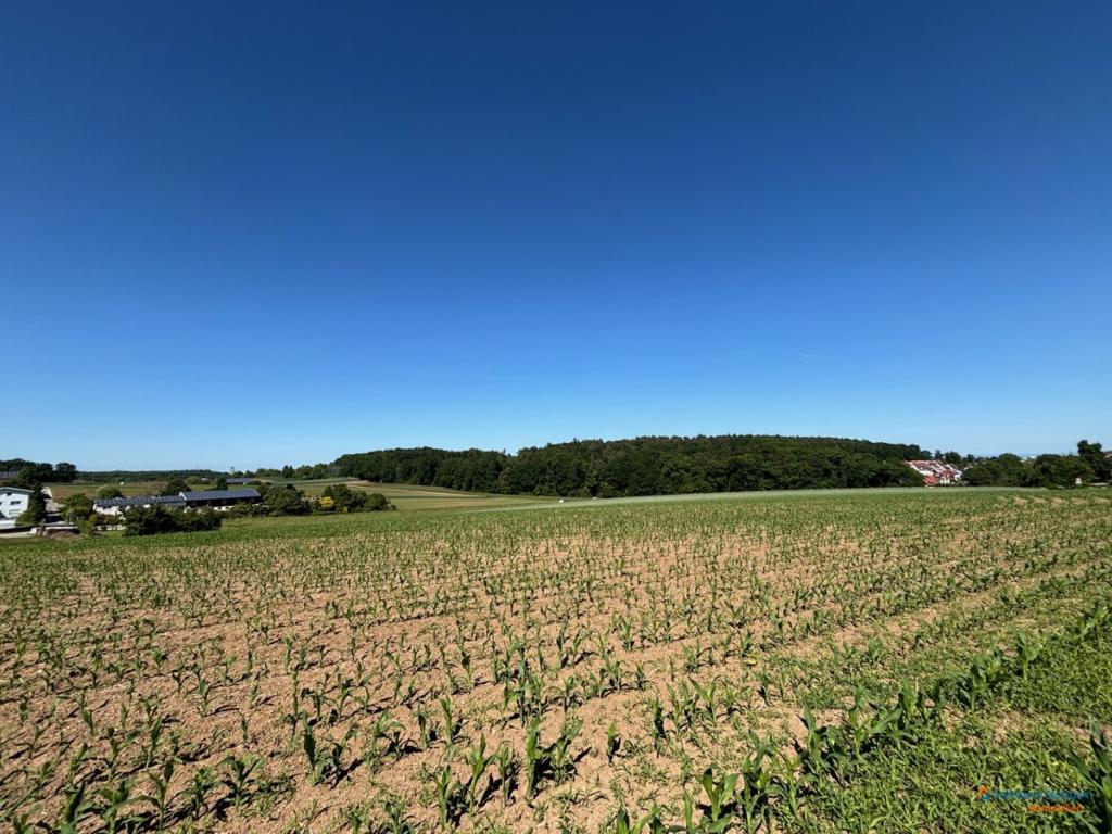 Umgebung