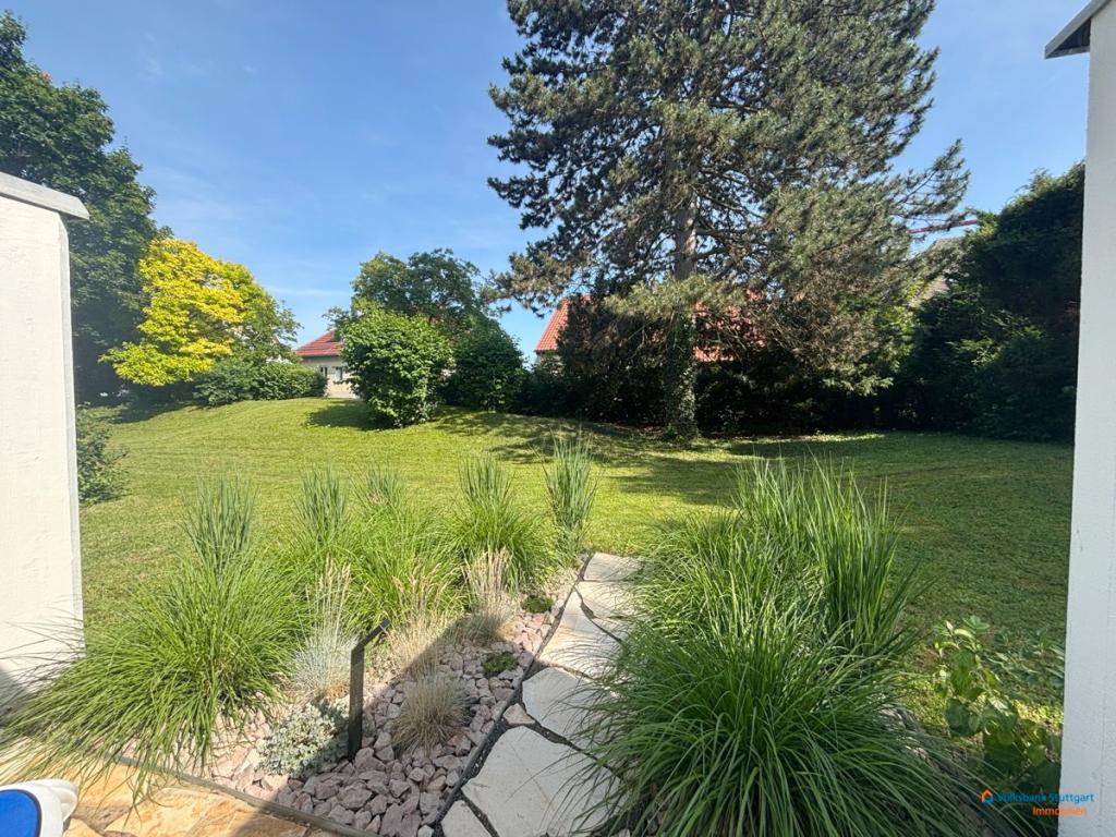 Terrassenaussicht