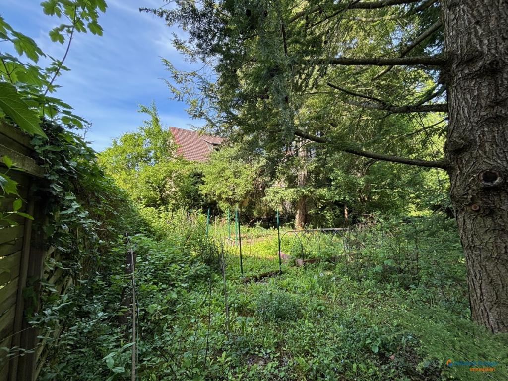 Impressionen Garten 