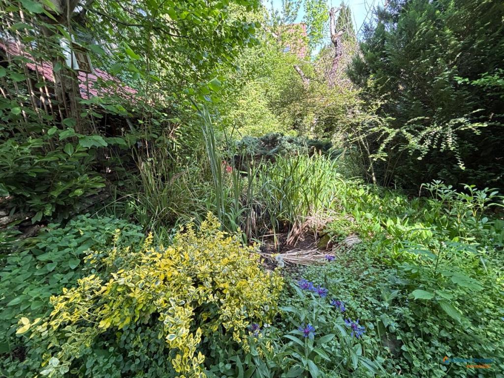 Impressionen Garten 