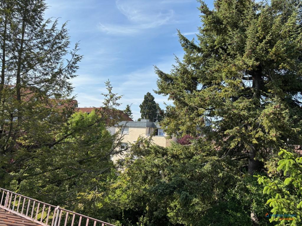 Ausblick vom DG