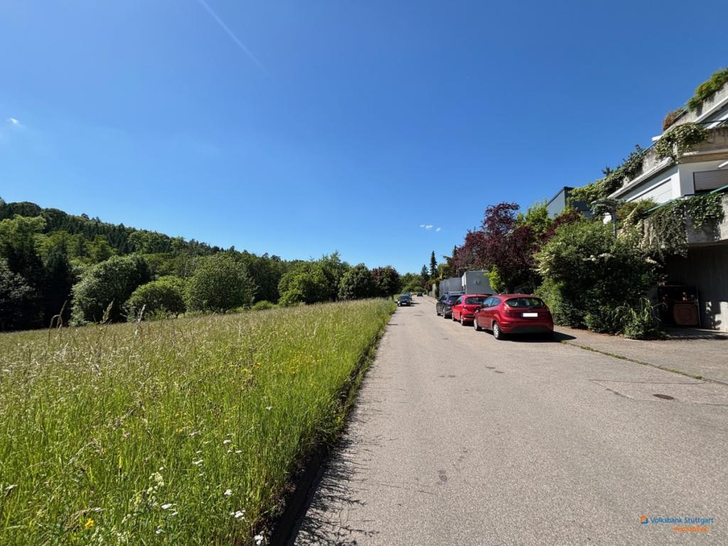 Umgebung