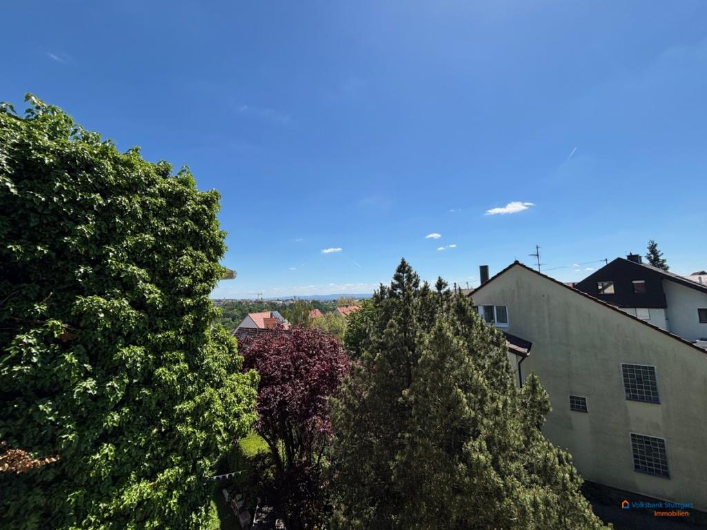 Fernblick