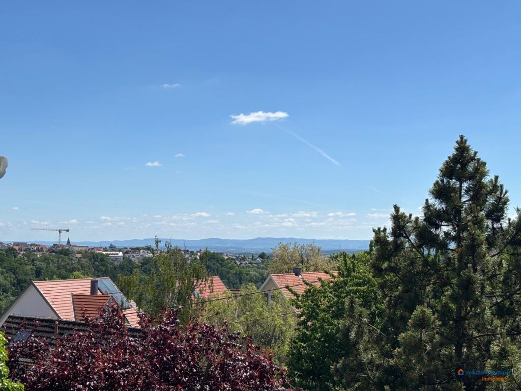 Fernblick
