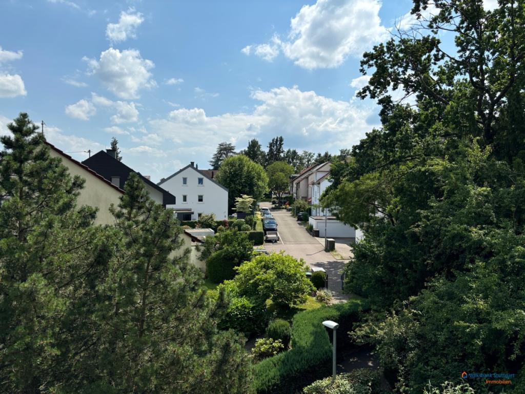 Blick ins Grüne