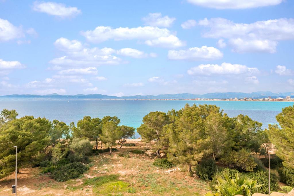 Blick auf das Meer