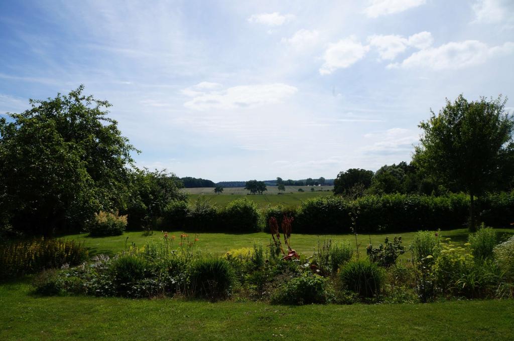 Blick über das Grundstück