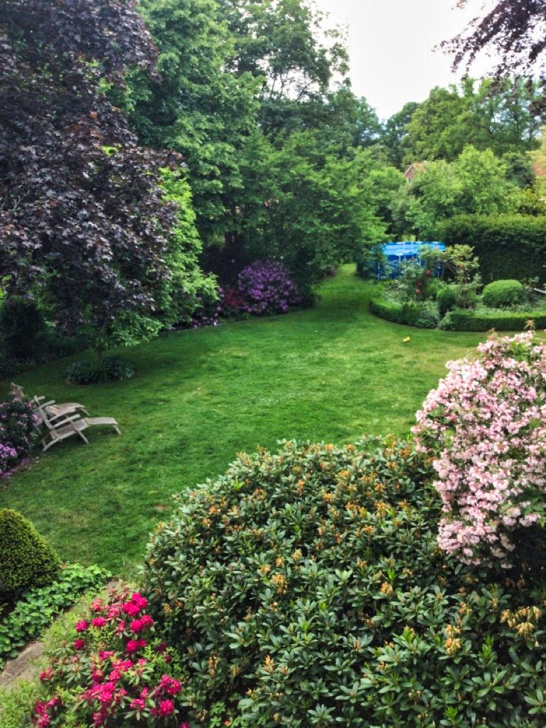 Rhododendren fassen den Garten ein