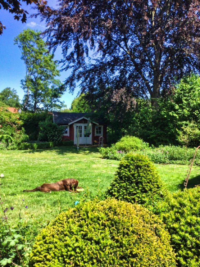 Blick auf das Gartenhaus