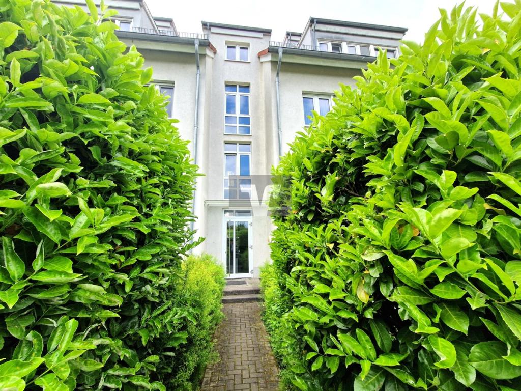 Der eigene nutzbare Gartenbereich kann durch den Hinterhausausgang erreicht werden 