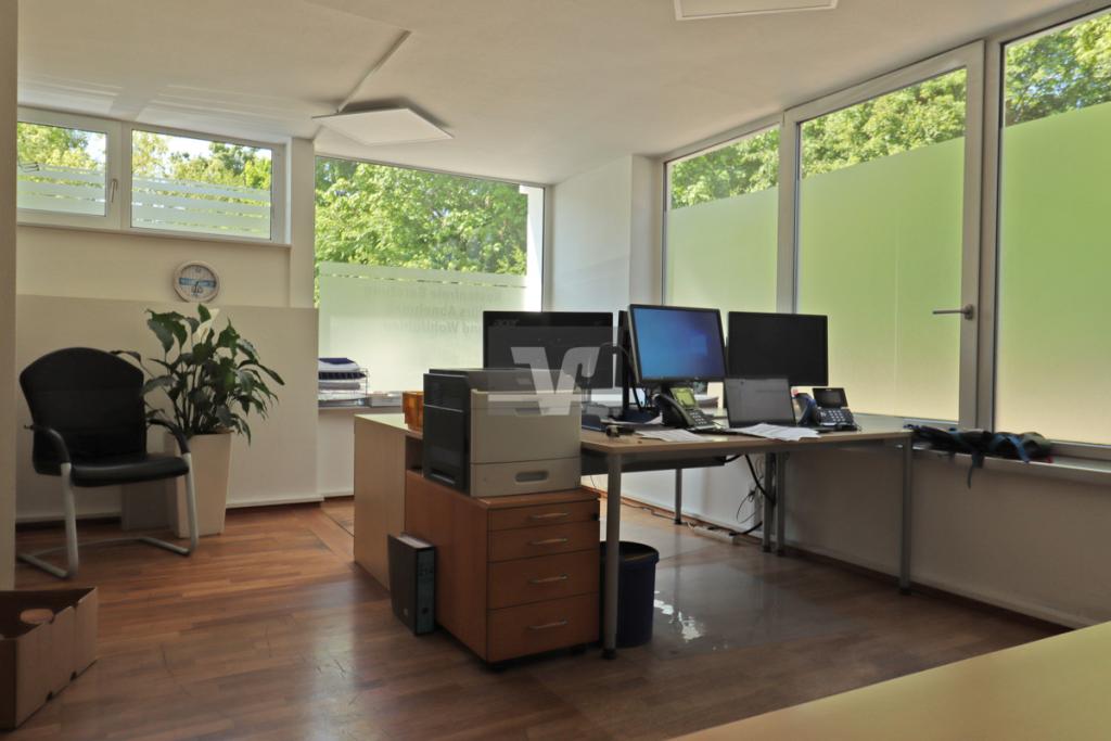 Lichtdurchflutetes Eckbüro mit Blick ins Grüne