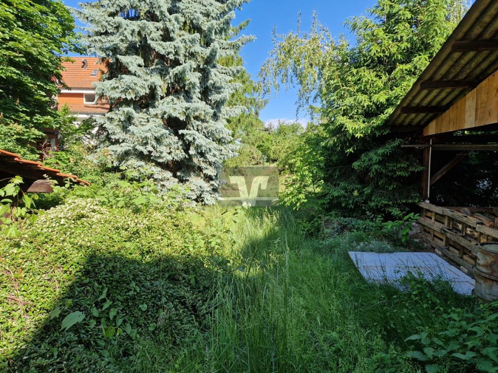 Blick in den Garten