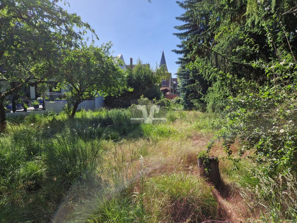 Blick aus dem Garten
