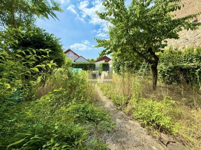 Obst & Gemüsegarten