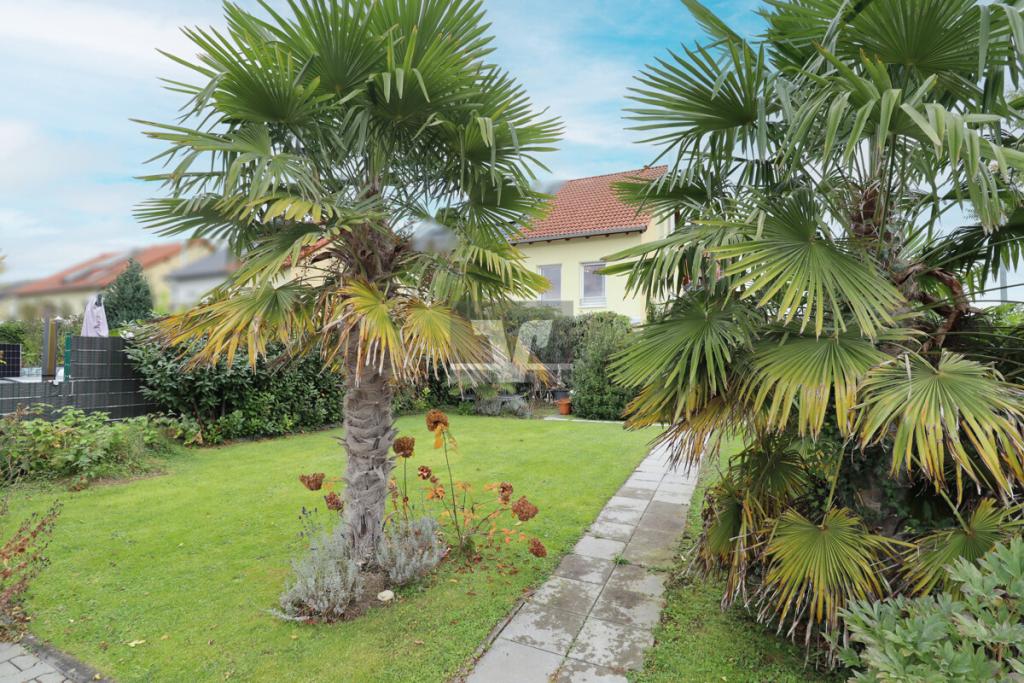 Geschmackvoll gestaltetes Anwesen mit Palmenbestand