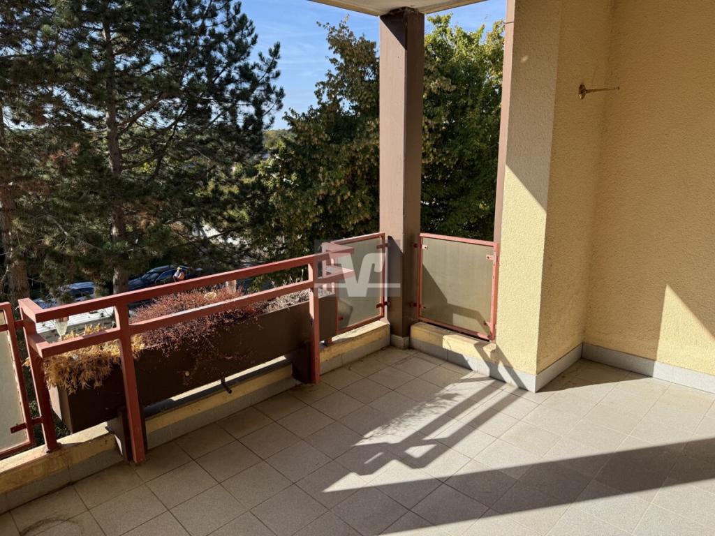 Limburgerhof: Attraktive 3,5 ZKB Wohnung mit großer Süd-Loggia und Pkw-Stellplatz! - Foto 3