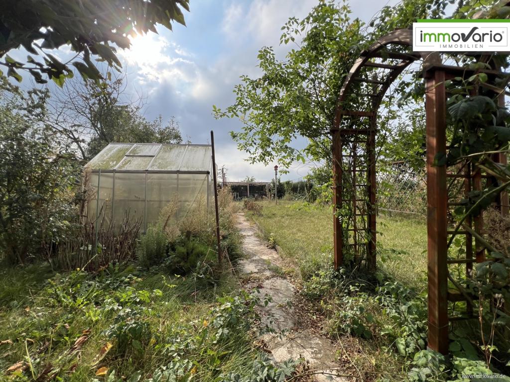 Blick in den Garten