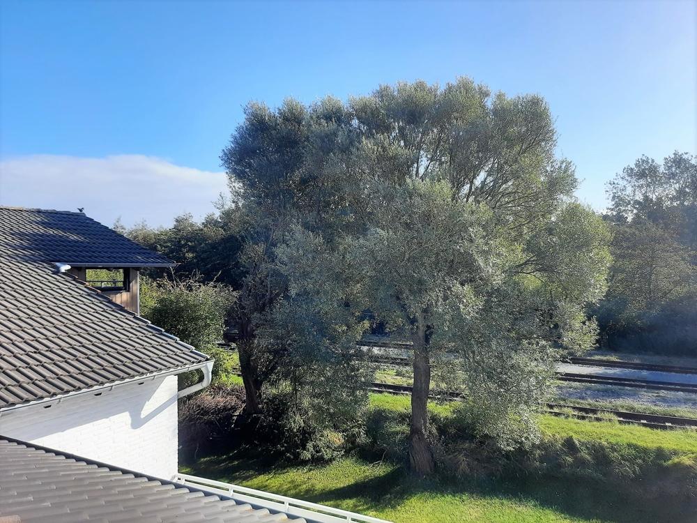 Fewo 9c - Ausblick Balkon