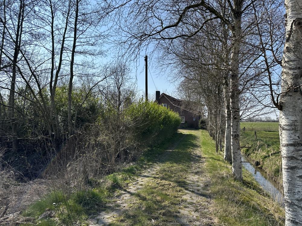 Einfamilienhaus inklusive Waldspaziergang