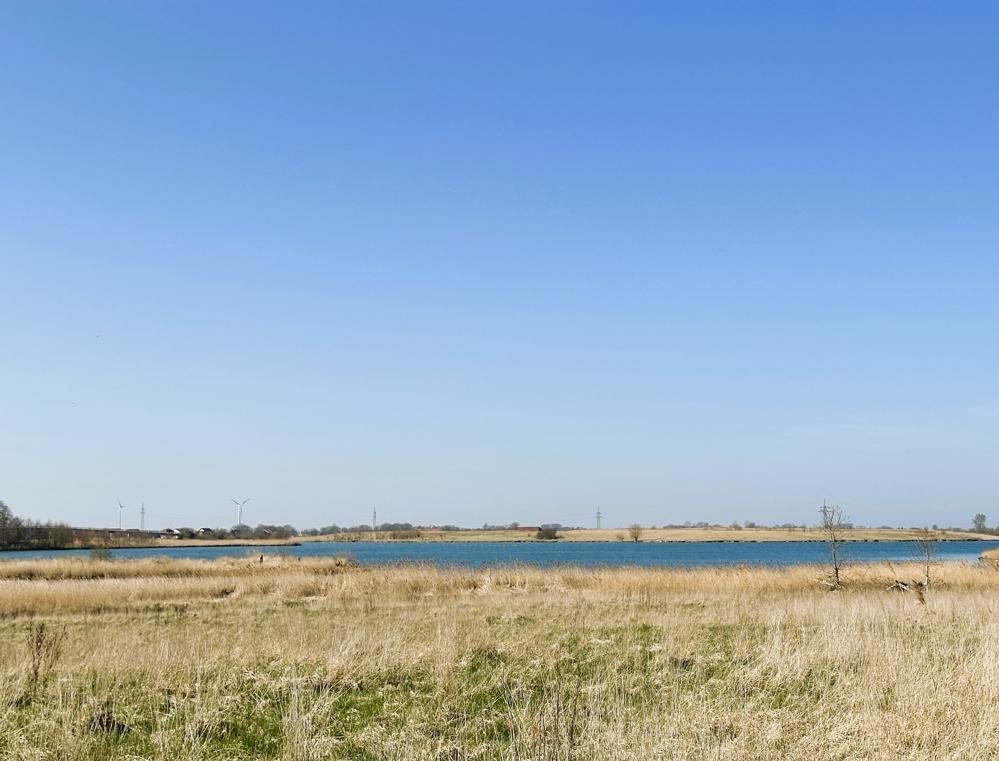 Wangermeer