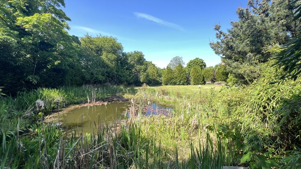 Gartenteich