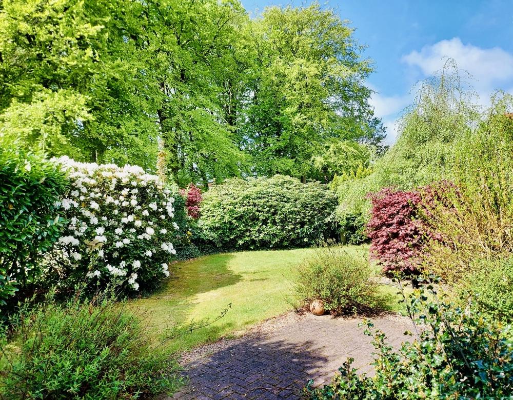 Blick in den Garten