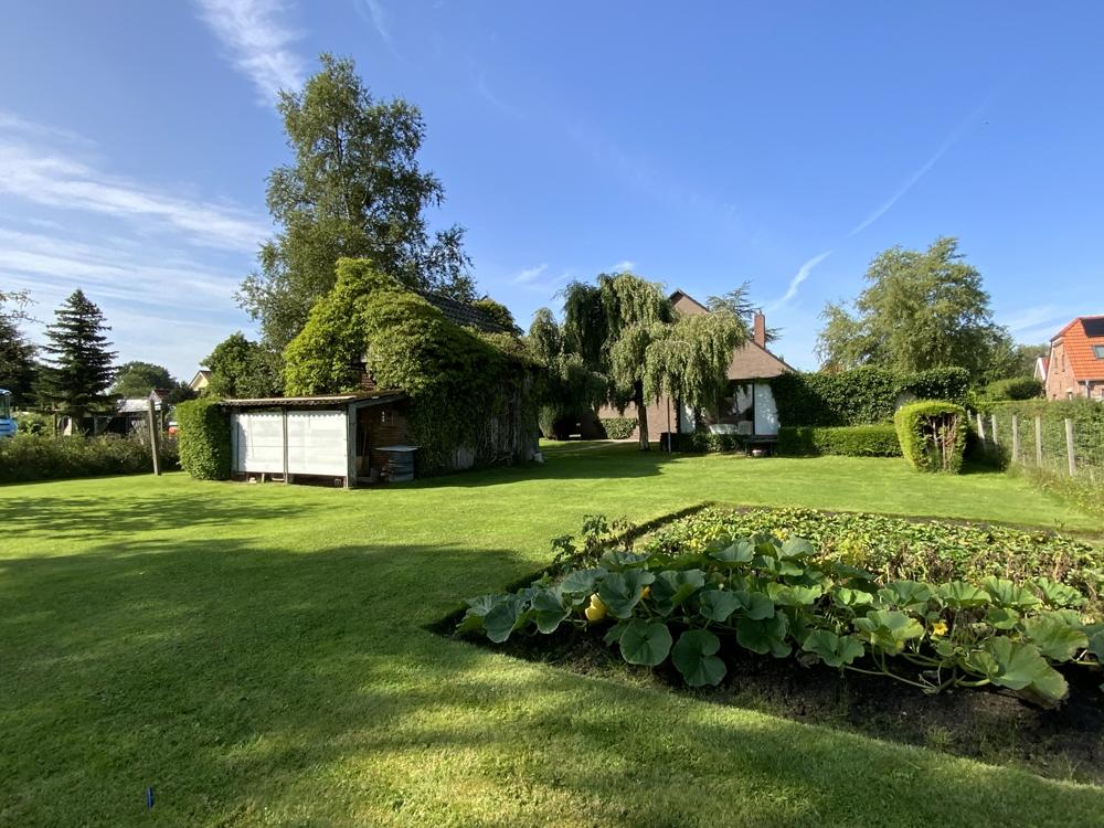 Garten mit Blick zum Haus
