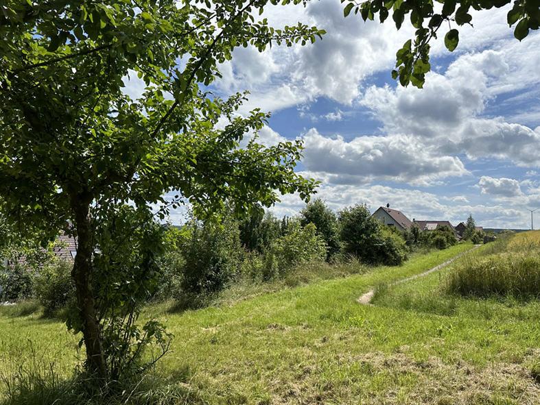 Bild3