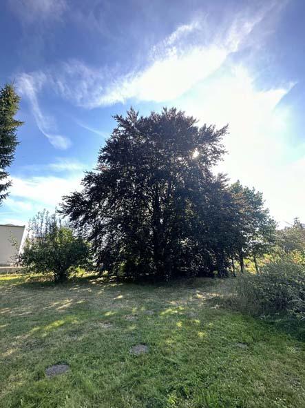 Bild5