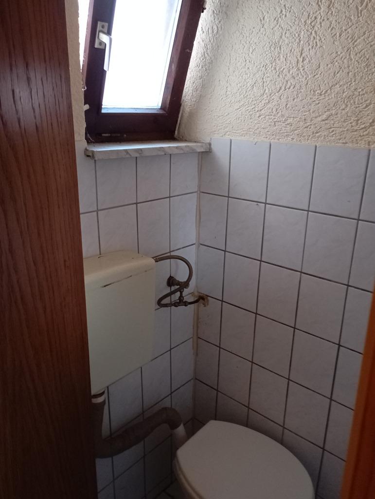 1000126501.jpg