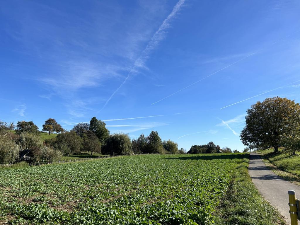 Freier Blick in die Natur