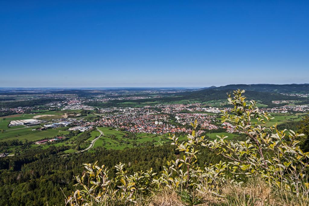 Blick über Balingen