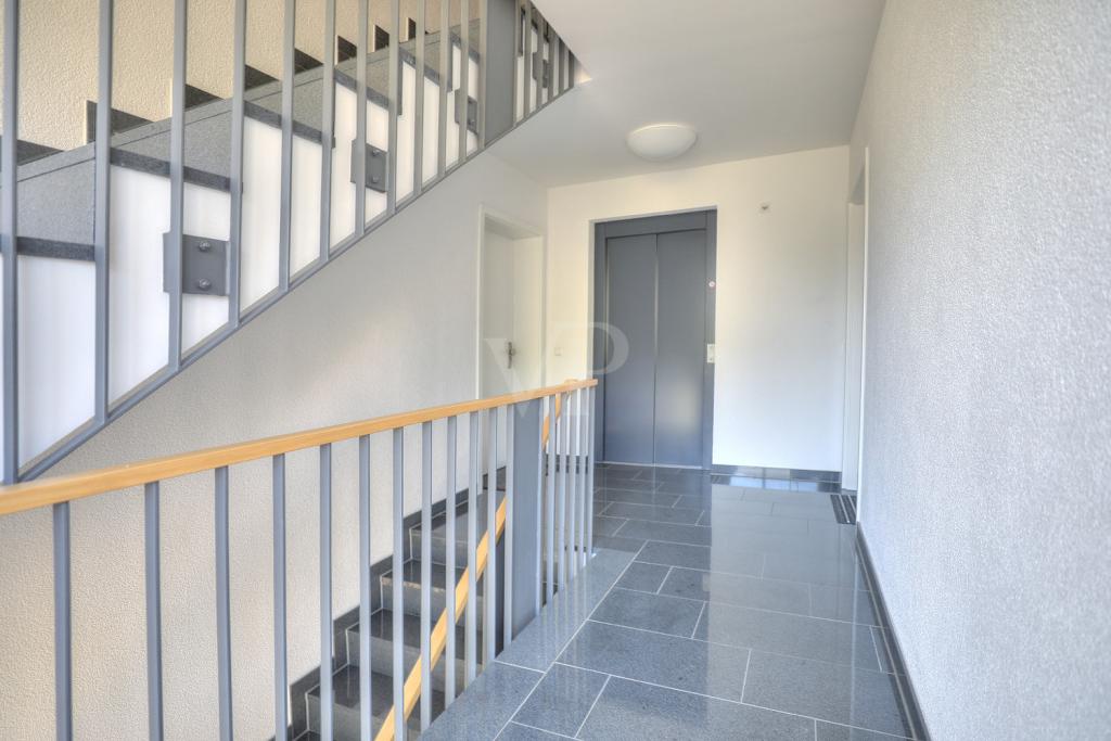 Treppenhaus / Aufzug
