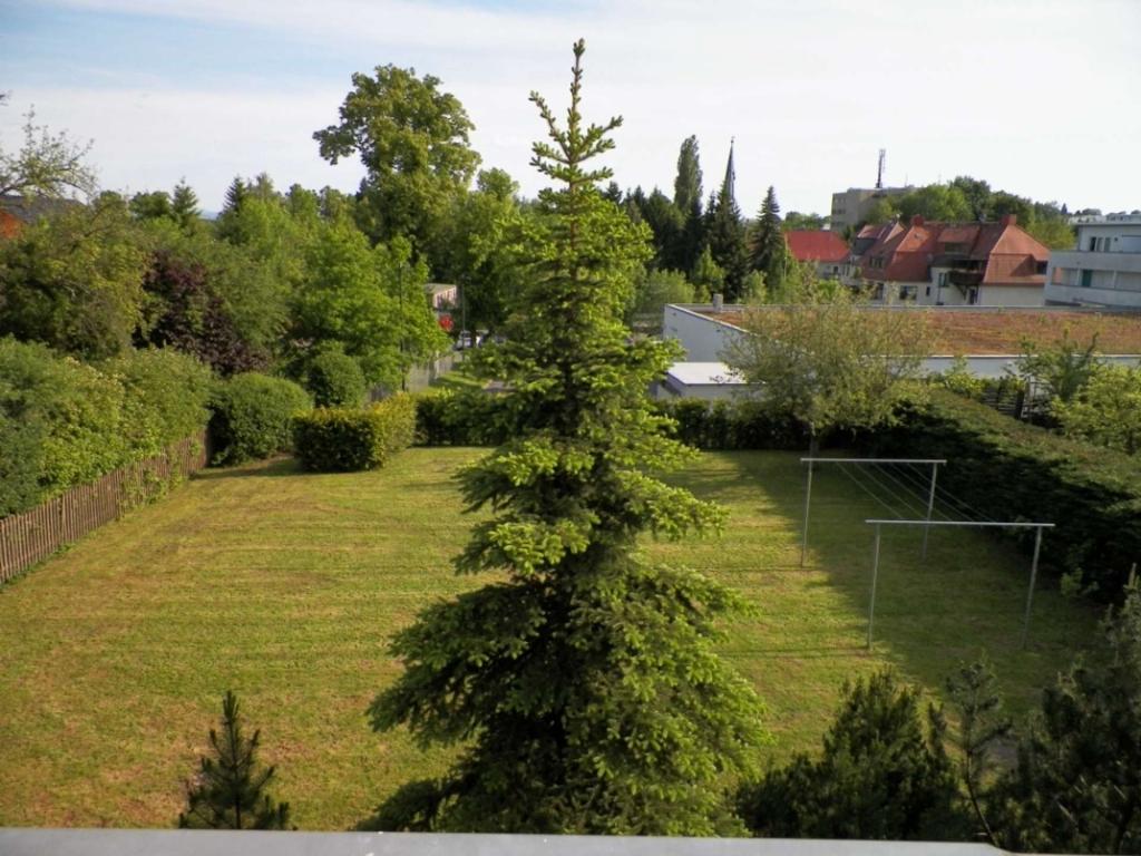 Aussicht von der Terrasse