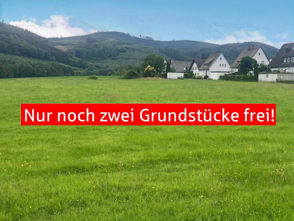 69760621.JPG