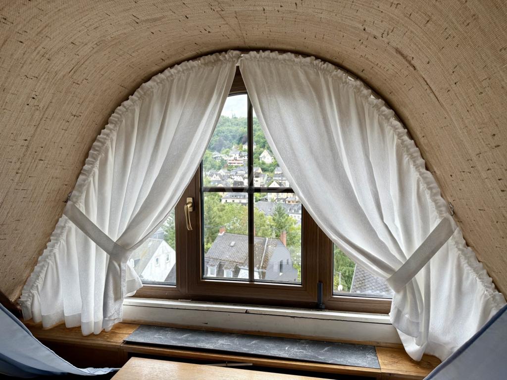 DG-Fenster 1